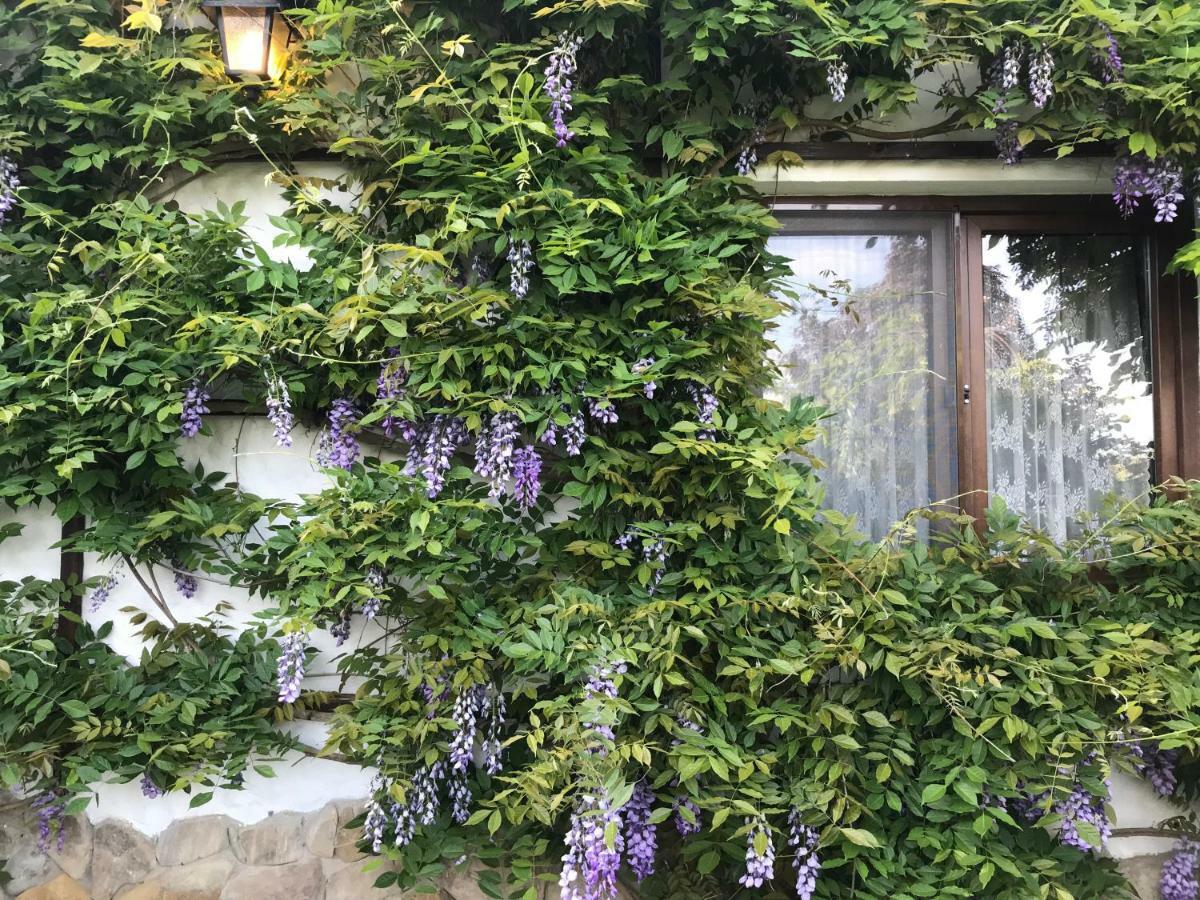 Casa Cu Suflet Sighişoara Exterior foto